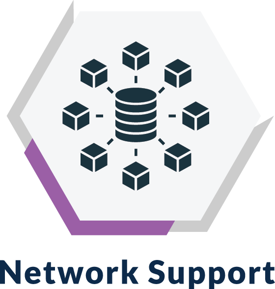 True IT Network Support